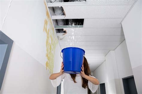 ceiling leaking dream meaning|Understanding Dream Meanings of a Leaking Ceiling